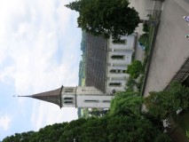 IMG_3653