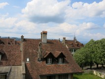 IMG_3654