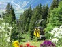 Aelpli Alp Malans 07.2017